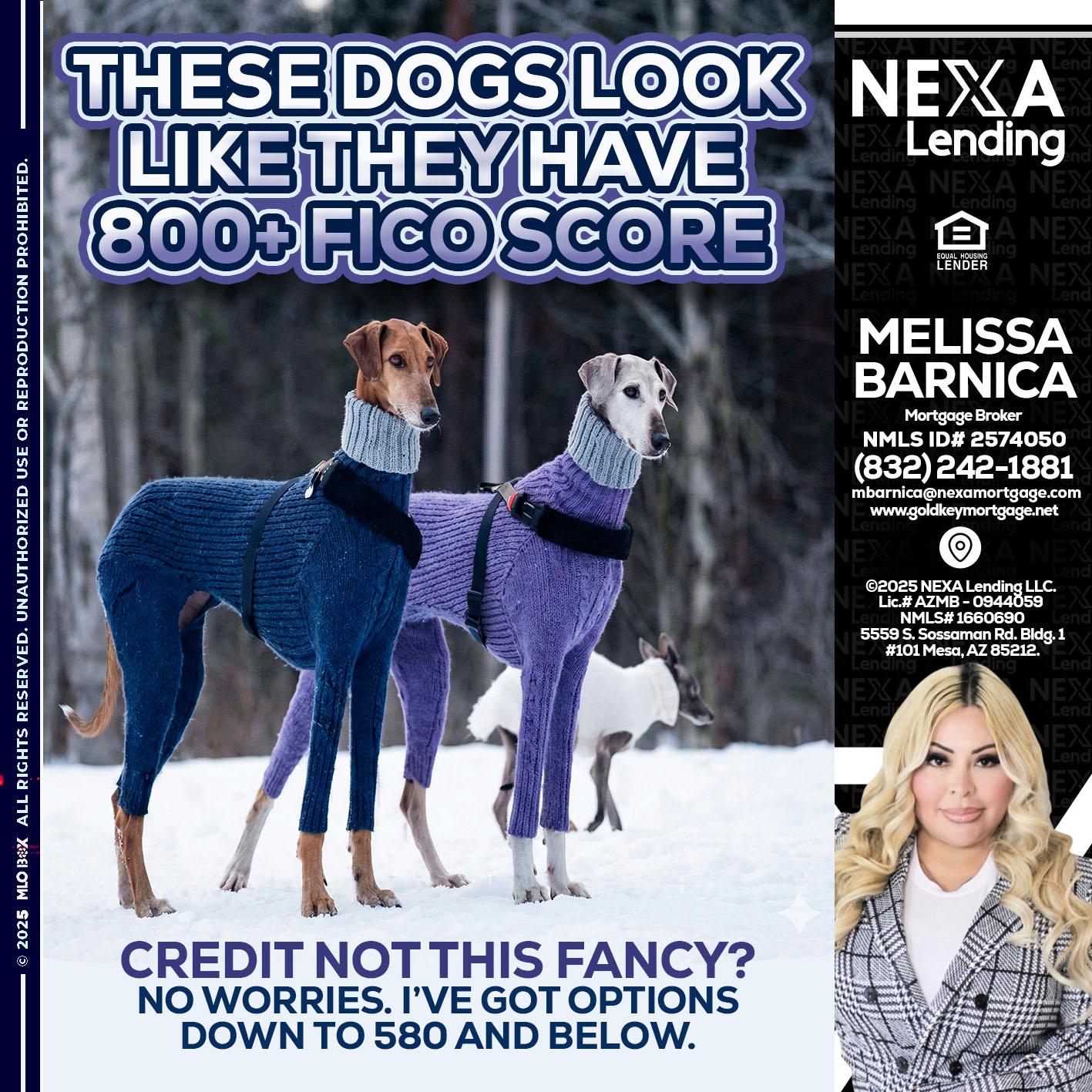 THESE DOGS LOOK - Melissa Barnica -Mortgage Broker